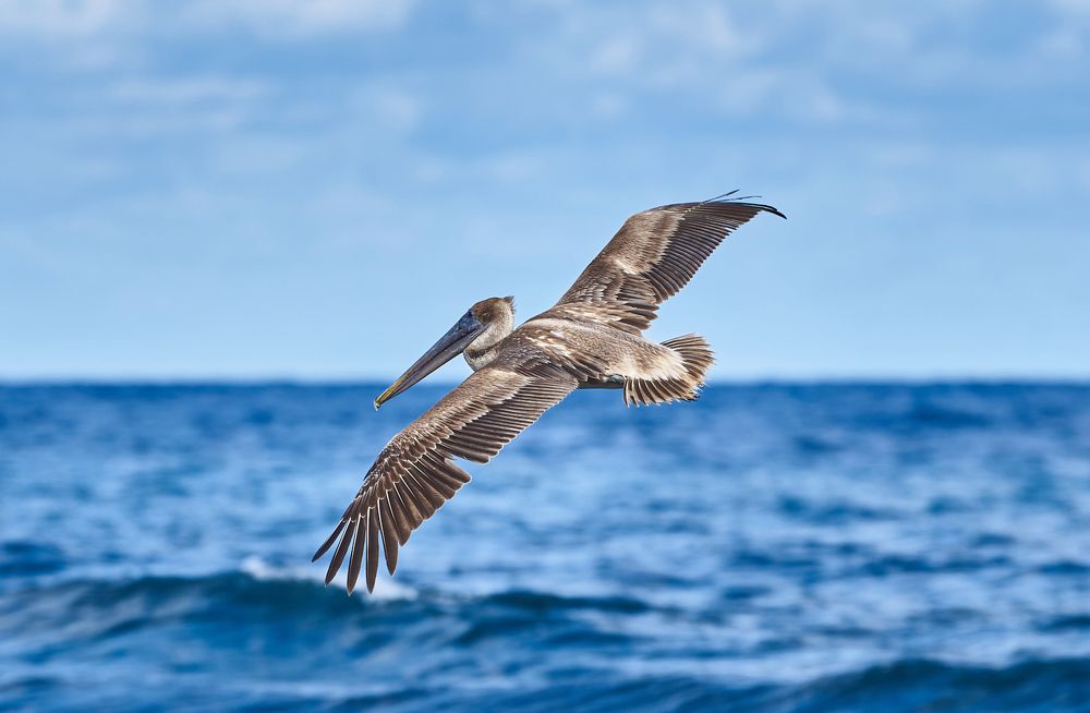 Photograph by Alexander Martin Sandez