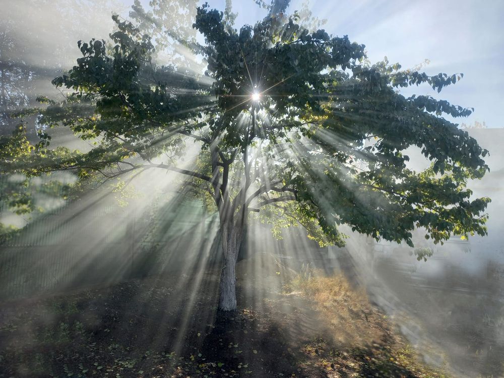 Photograph by Елена Виноградова