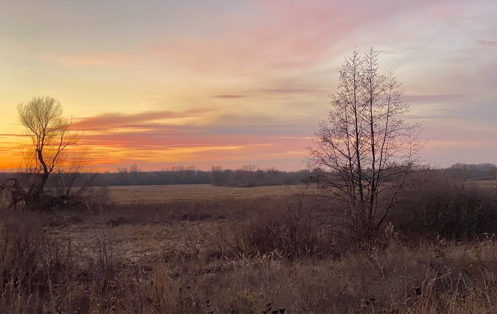 Photograph by Елена Гарибян