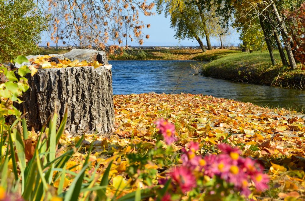 Photograph by Ирина Рыжая