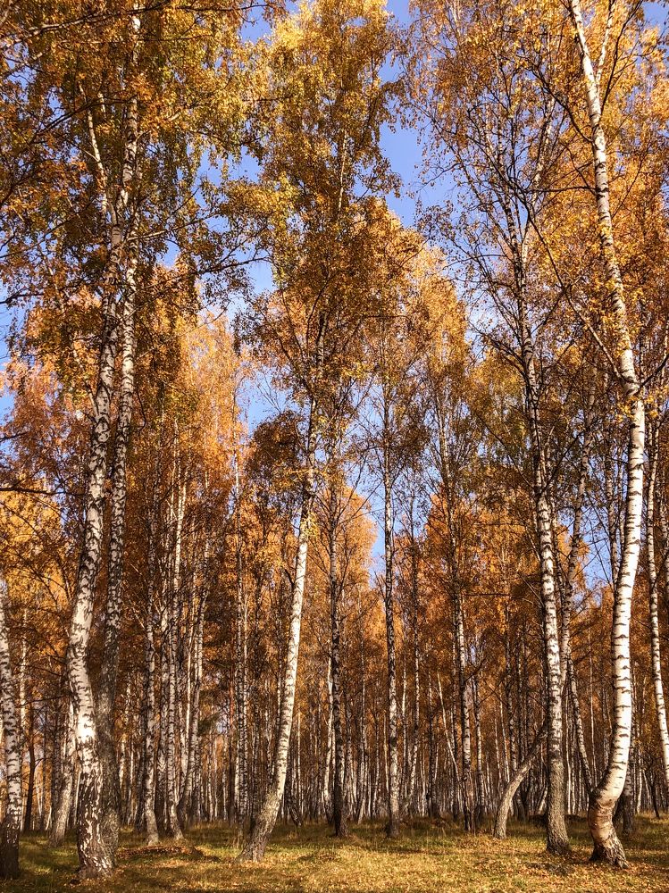 Photograph by Evgeniia Linnik