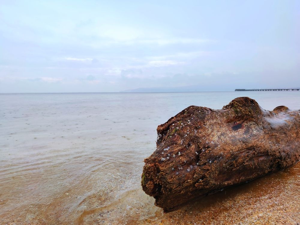 Photograph by Андрей Маргосов