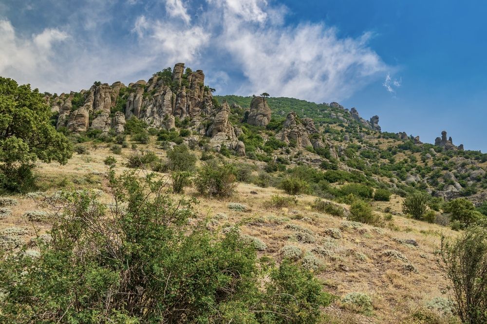 Фотография автора Дмитрий