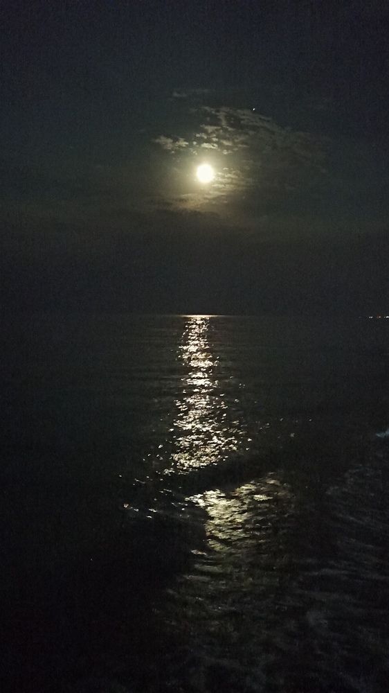 Фотография автора Курбан Курбаналиев