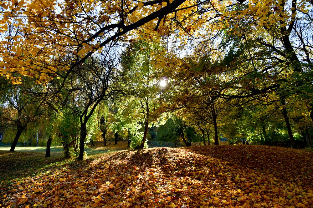 Photograph by Attila Mező