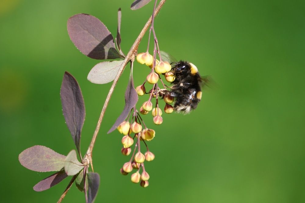 Photograph by Алфия Бугакова