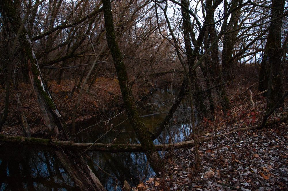 Photograph by Ирина Степанова