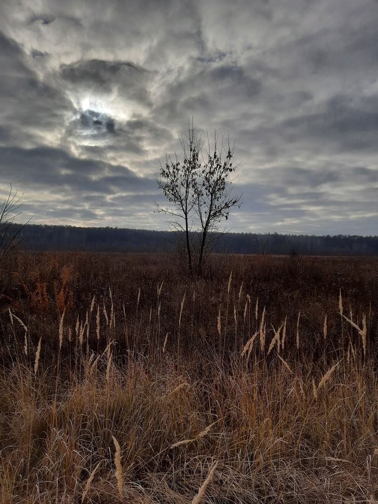 Photograph by Ирина Степанова