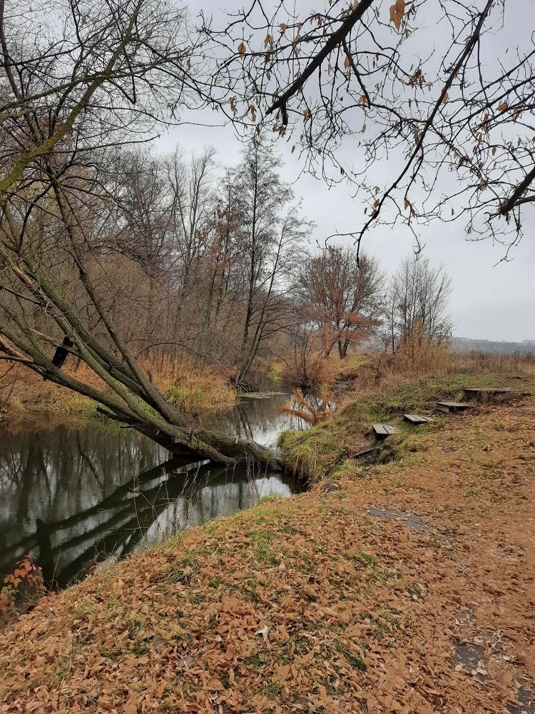 Photograph by Ирина Степанова