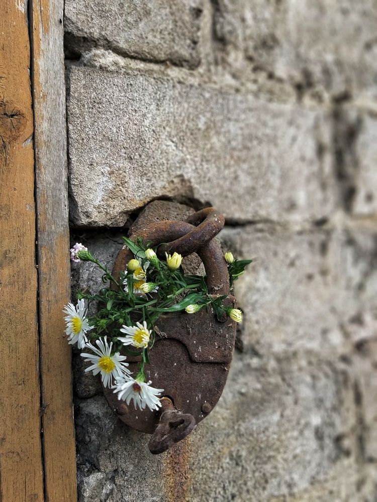 Photograph by Вера Родионова