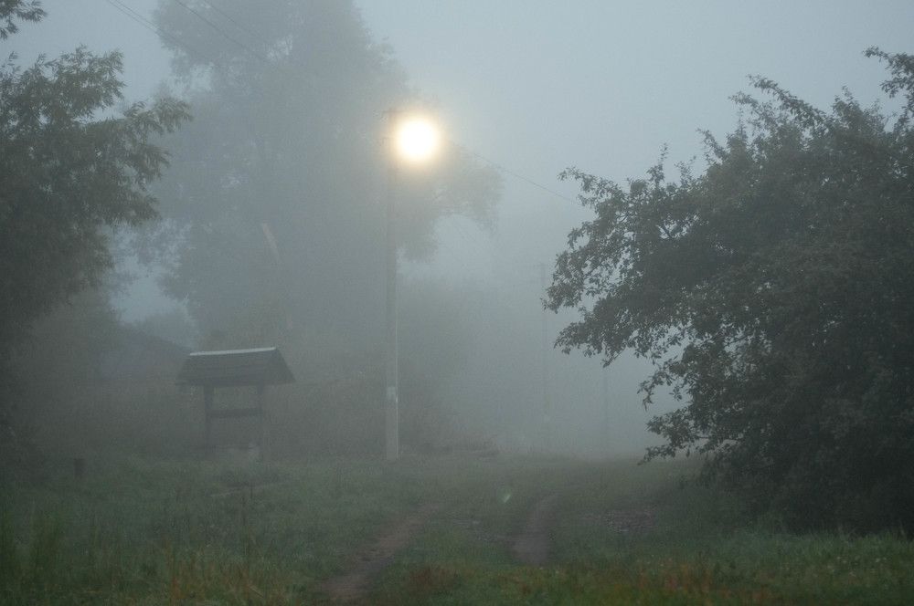 Photograph by Татьяна Зубехина