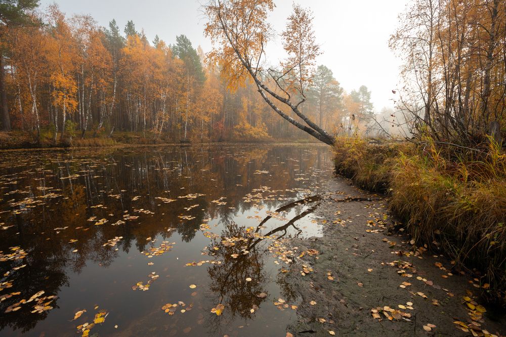 Photograph by Александр Кузнецов
