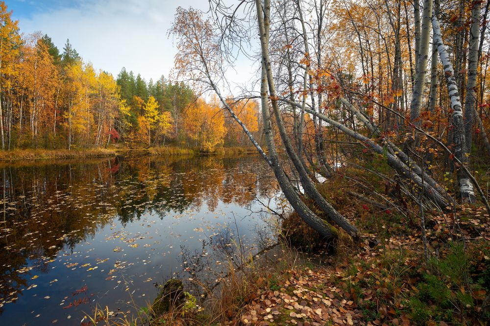 Photograph by Александр Кузнецов