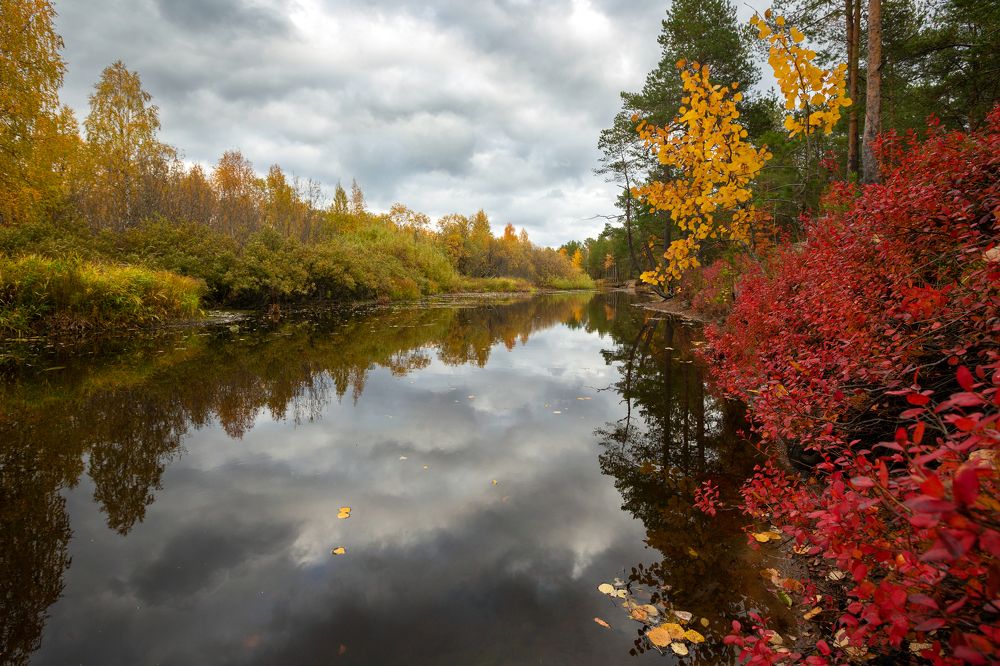 Photograph by Александр Кузнецов