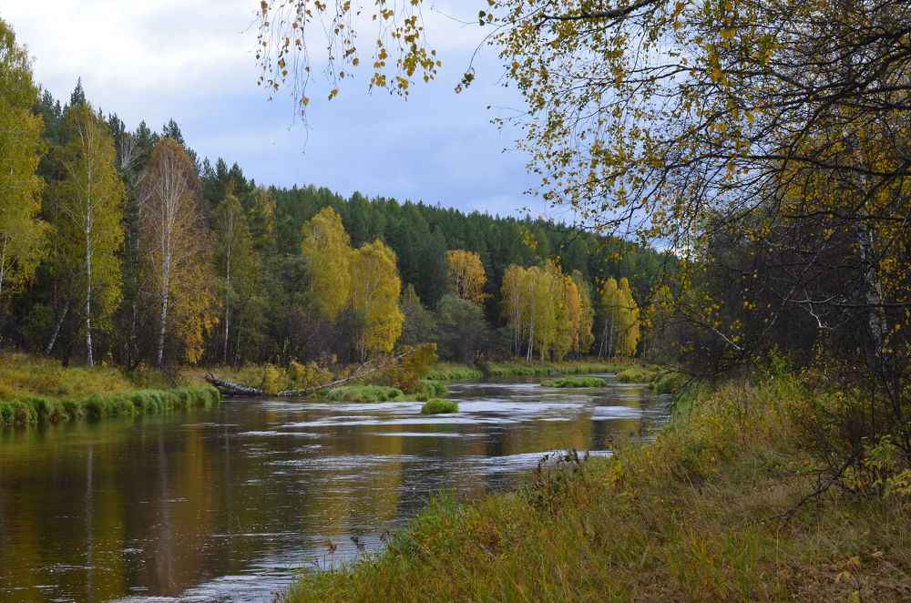 Фотография автора Агапова Арина