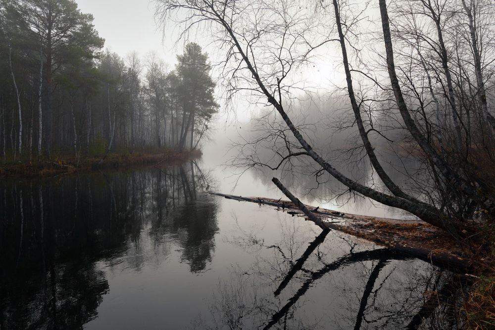 Photograph by Александр Кузнецов