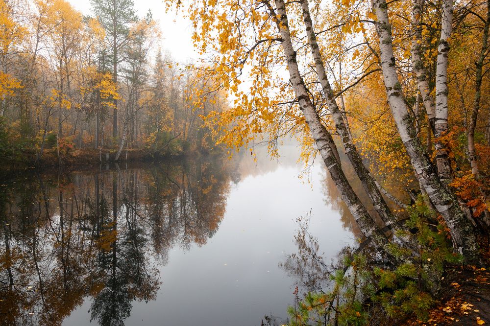 Photograph by Александр Кузнецов