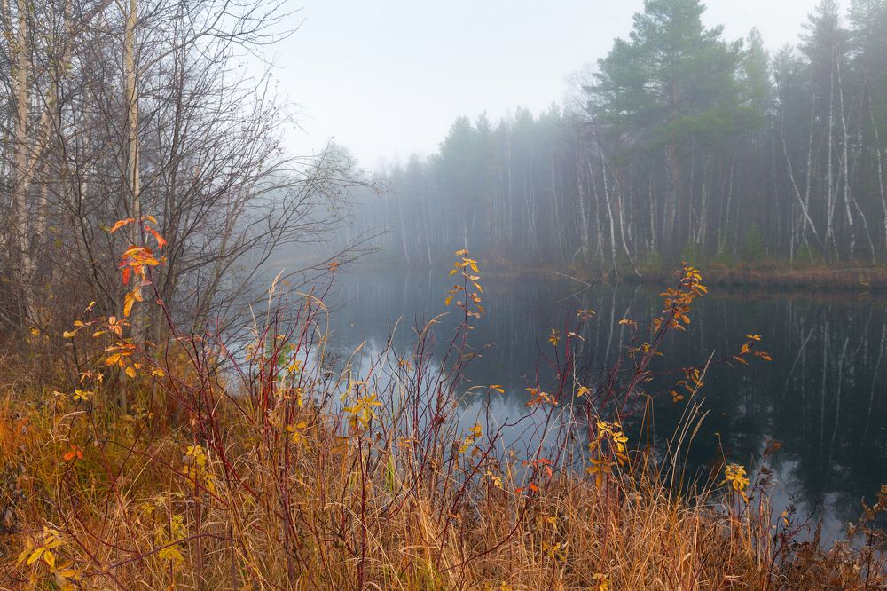 Photograph by Александр Кузнецов