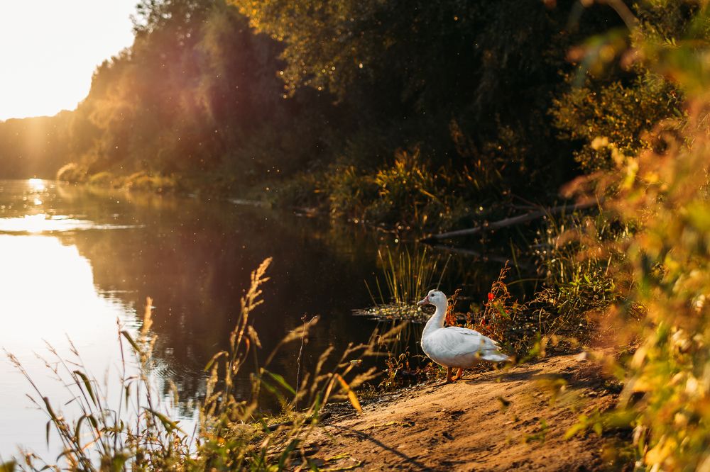 Photograph by Надежда Раскина
