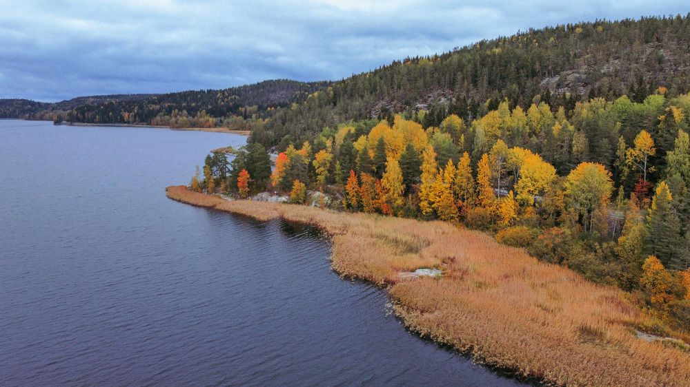 Фотография автора Anna