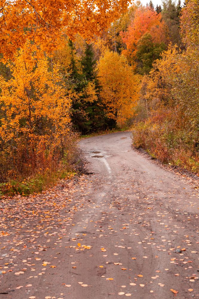 Фотография автора Anna