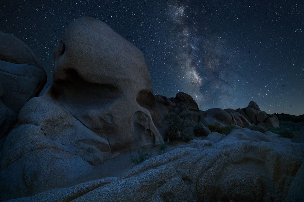 Photograph by Bogdan