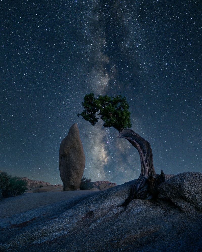 Photograph by Bogdan