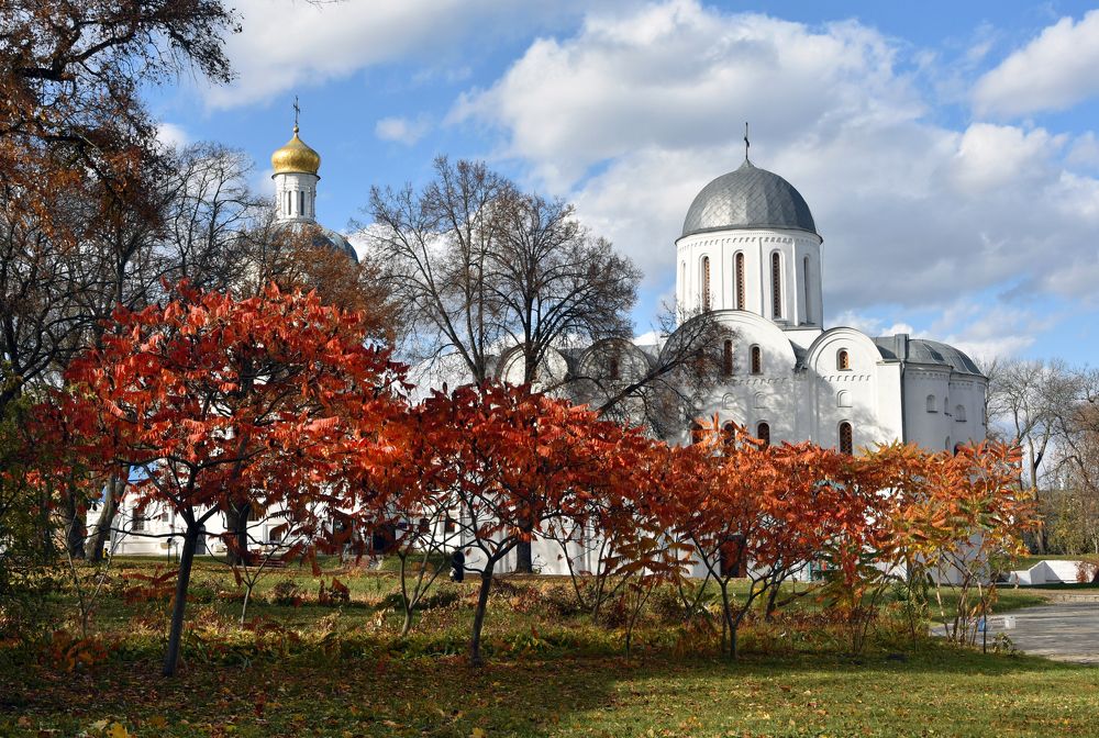 Photograph by Елена Куннова