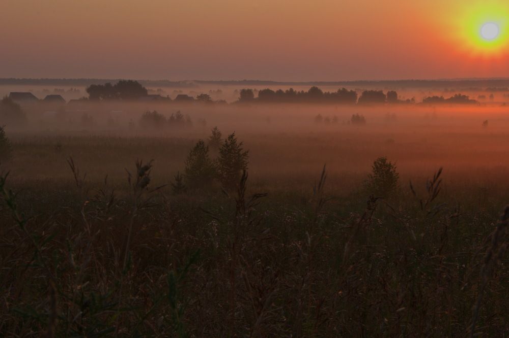 Летнее утро.