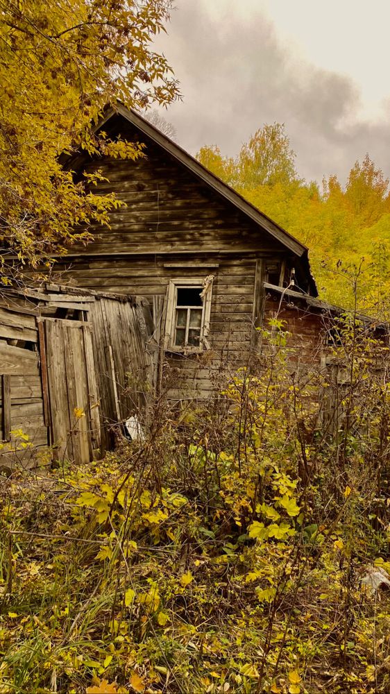 Photograph by Андрей Нечунаев