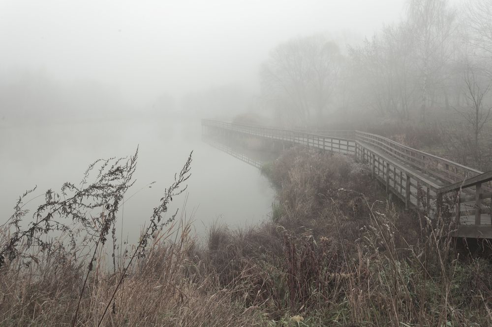 Photograph by Татьяна Макотра