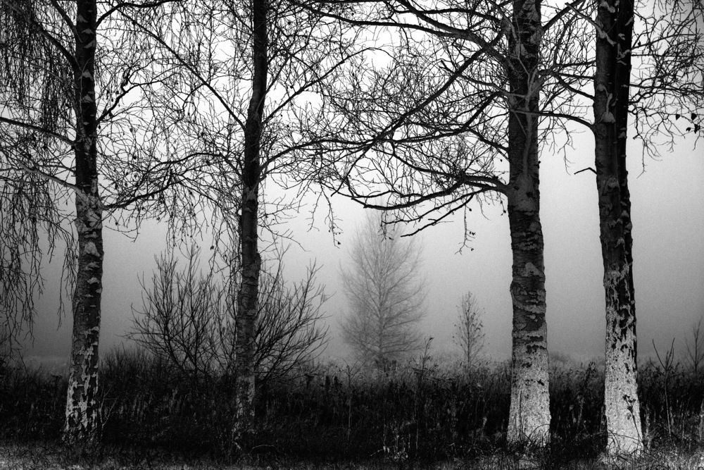 Photograph by Oleg M Kulishov