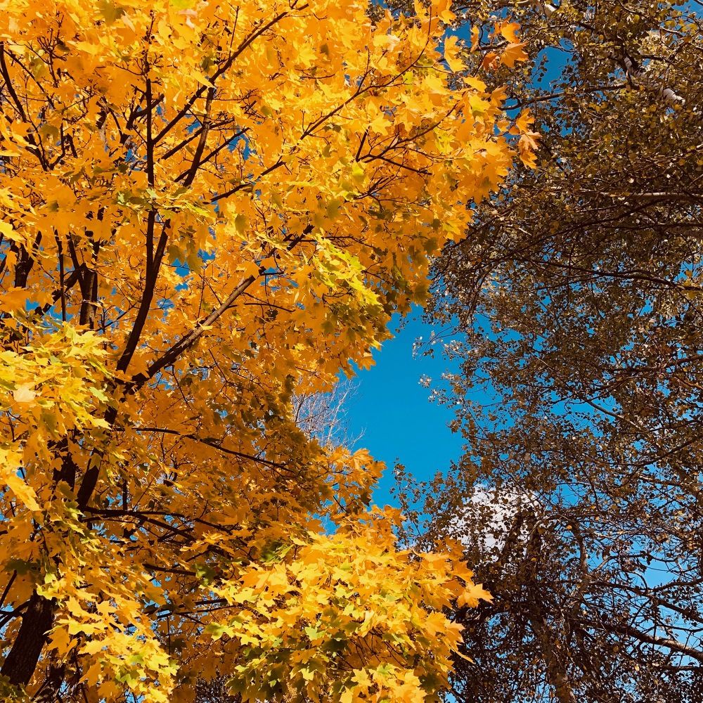 Photograph by Светлана Ткаченко