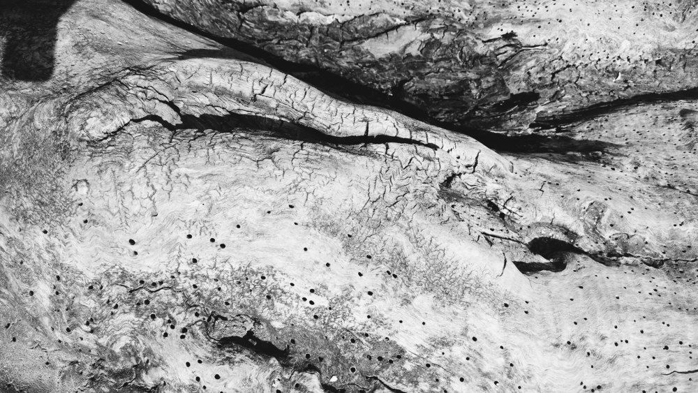 Photograph by Лиана Бондаренко