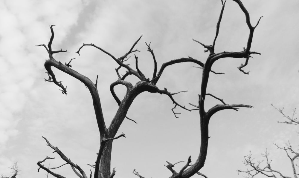 Photograph by Лиана Бондаренко