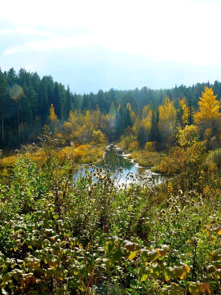 Photo #6725495