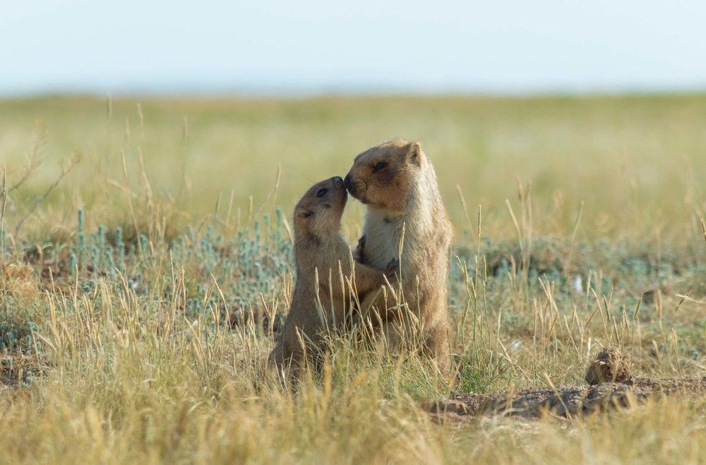 Photograph by Андрей Красников