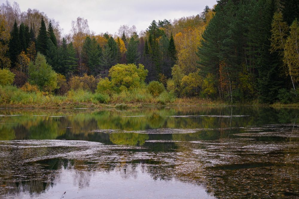 Photograph by Ольга Тюрина