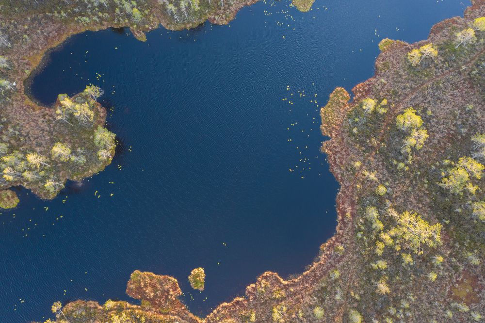 Photograph by Светлана Краюшкина