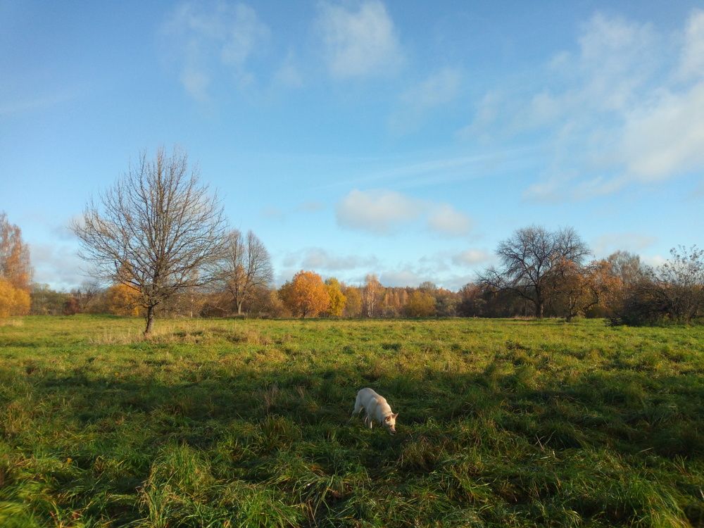 Photograph by Юлия