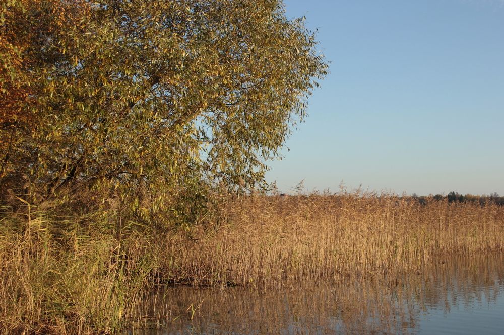 Photograph by Юлия