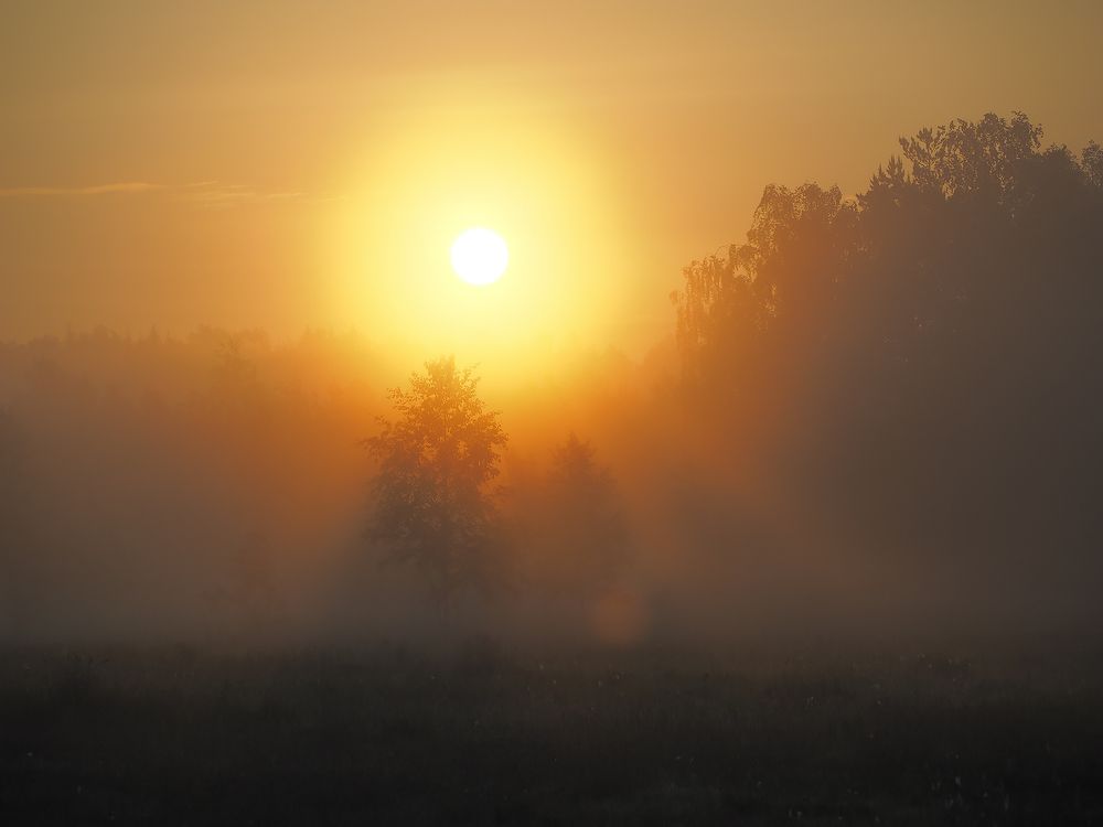Photograph by Владимир Перепечаев