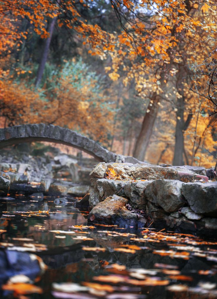 Photograph by Pavel Tymoshenko