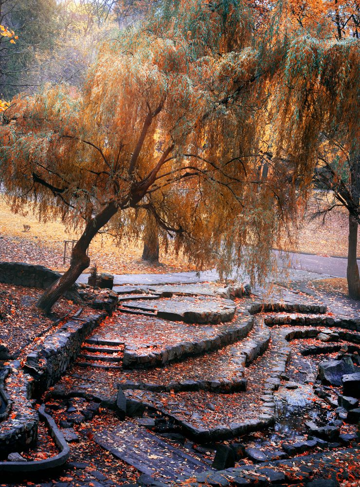 Photograph by Pavel Tymoshenko