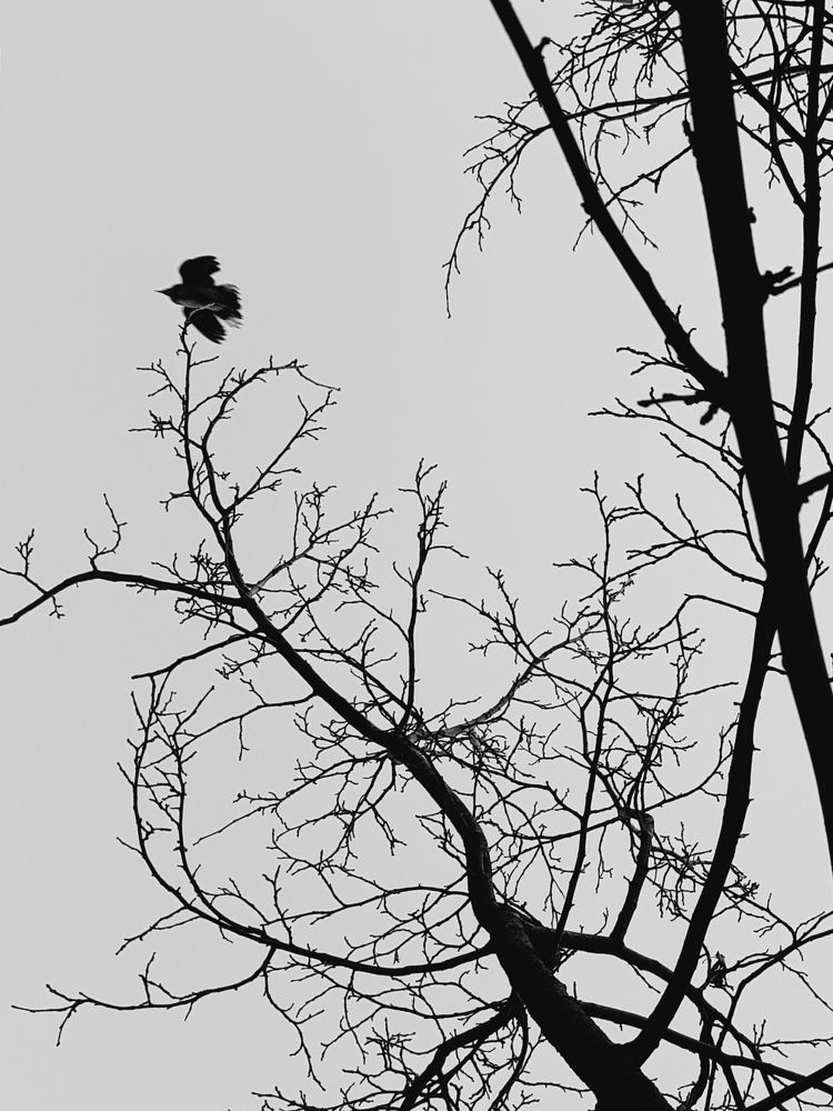 Photograph by Mohammad Mahdi khojasteh