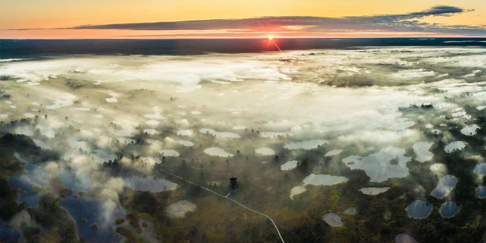 Photograph by Nikolai Mordan