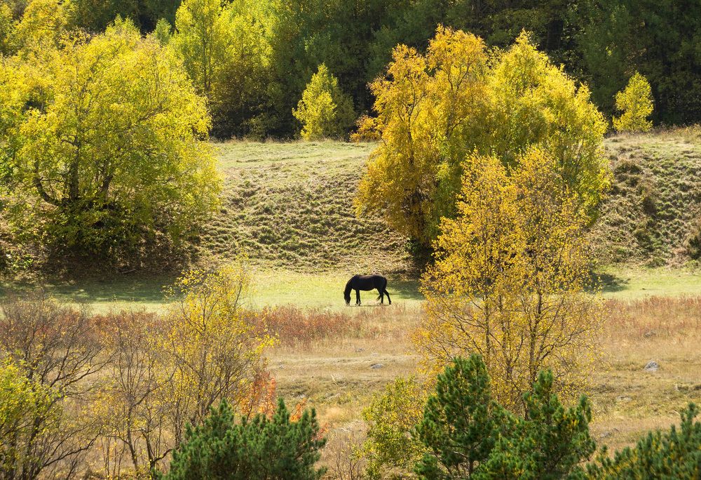 Photograph by Виктор Петров