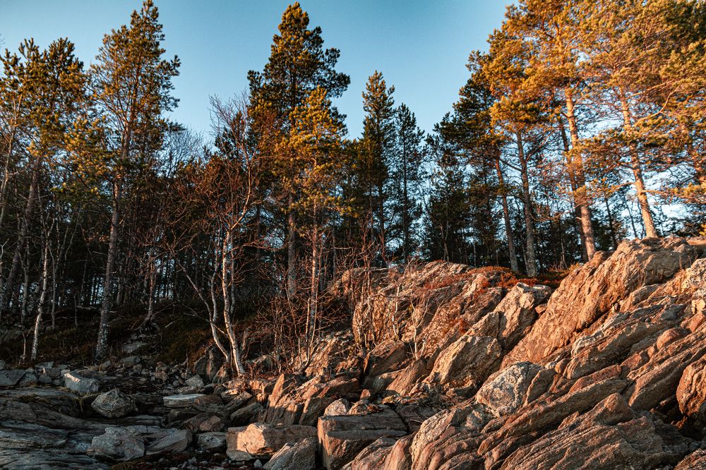 Photograph by Николай