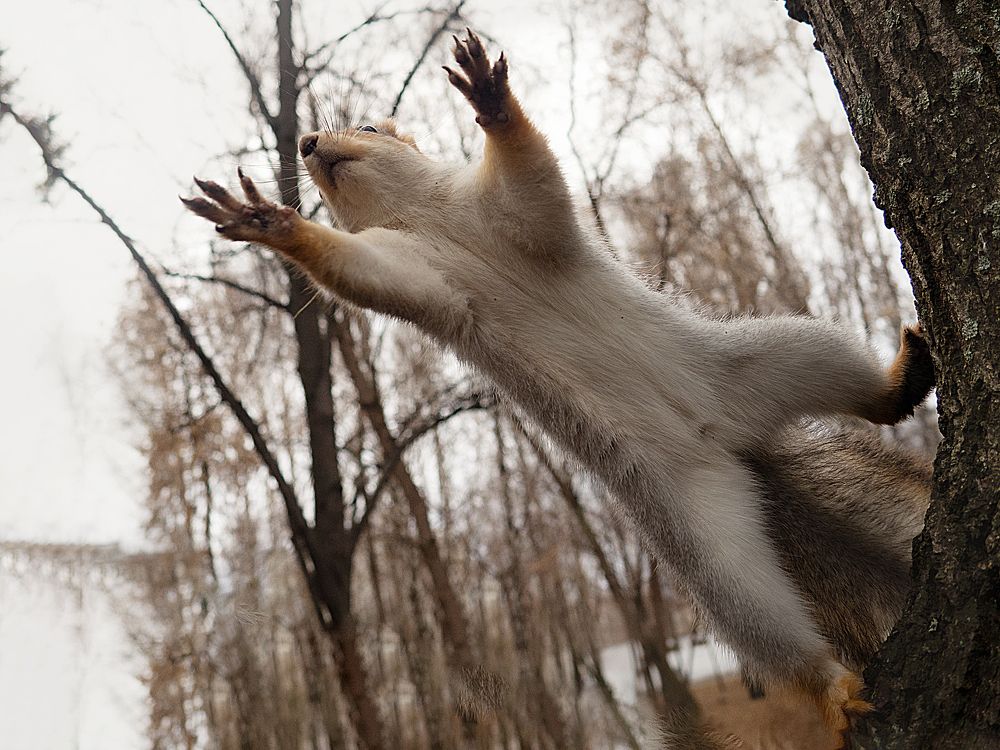 Photograph by Elena Khalizova