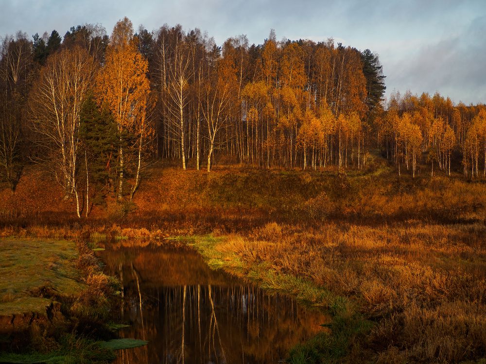 Photograph by Владимир Перепечаев